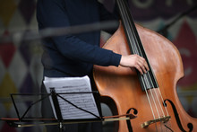 Musian's Fingers On A Contrabass Strings