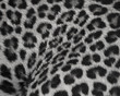 Jaguar, leopard and ocelot skin texture