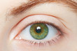 Human, green healthy eye macro