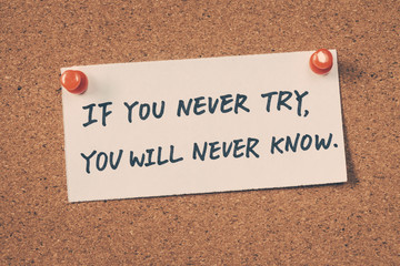 Wall Mural - If you never try you will never know