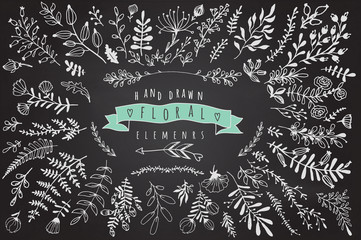 Big collection of different hand drawn floral elements on chalkb