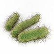 E. Coli Bacteria - An illustration of Escherichia coli (commonly abbreviated E. coli) is a rod-shaped bacterium of the genus Escherichia that can cause serious food poisoning in their hosts.