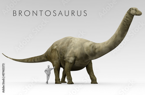 An illustration of the recently renamed dinosaur Brontosaurus (formerly known as Apatosaurus) depicted alongside an average height human Poster