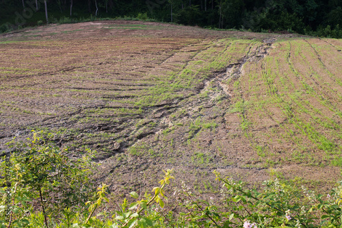 Cuadros en Lienzo soil erosion on a cultivated field after heavy shower