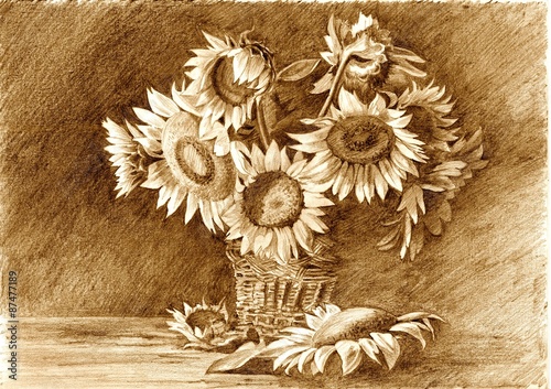 Naklejka ścienna Pencil drawing of bouquet of sunflowers in vase closeup
