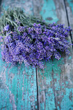 Fototapeta Lawenda - bouquet of lavender