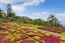 Tropical Botanical Garden In Funchal, Madeira Island, Portugal