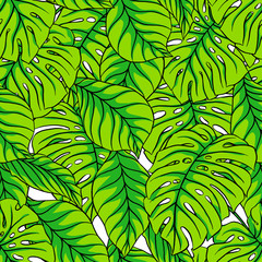 Wall Mural - green palm leaves