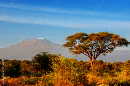 piekna-kilimanjaro-gora-po-wschodu-slonca-w-ranku-kenja-amboseli-park-narodowy