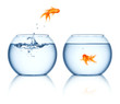 canvas print picture - A goldfish jumping out of the fishbowl isolated on white background