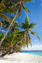 Poster - Idyllic tropical scene