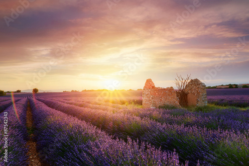 Obraz Dibond Sunset ruine de Valensole