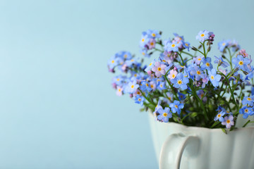 Poster - Forget-me-nots flowers in cup, on blue background