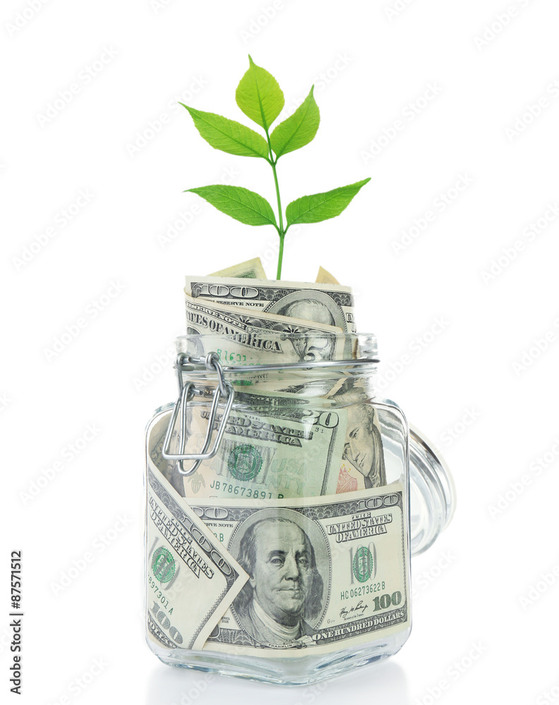 Money in glass jar with plant isolated on white
