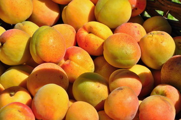 Wall Mural - apricots