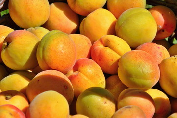 Wall Mural - apricots