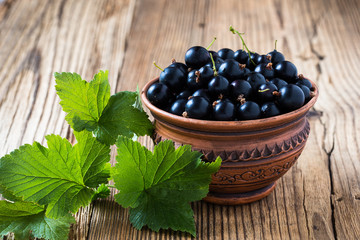 Canvas Print - Blackcurrant in ceramic mug on rustic wooden board