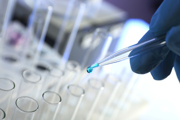 Wall Mural - scientist working in laboratory