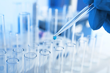 Wall Mural - scientist working in laboratory
