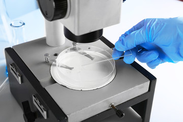 Wall Mural - scientist working with microscope in laboratory