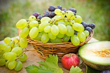 Wall Mural - Grapes - white and red grapes (seasonal fruits)