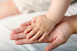 © Africa Studio - Adult and baby hands, closeup