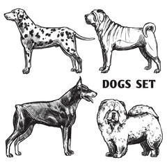 Wall Mural - Sketch Dogs Portrait Set