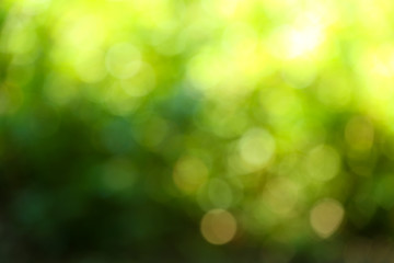 Beautiful green natural background