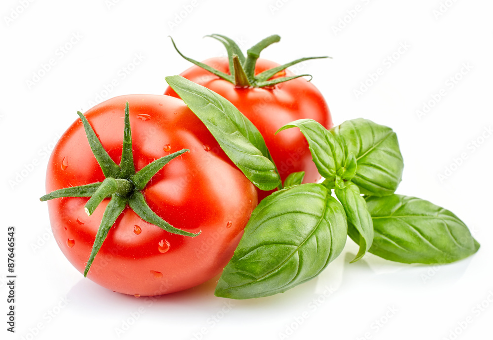 fresh tomatoes and basil - obrazy, fototapety, plakaty 