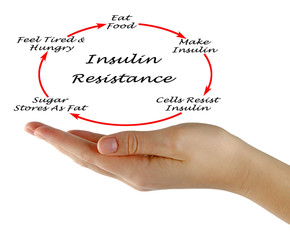 Wall Mural - Insulin Resistance