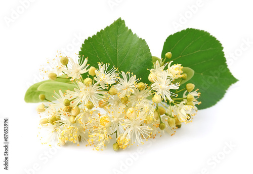 Naklejka nad blat kuchenny Linden flowers