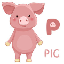 Letter P, Pig, Animal ABC