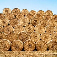 Hay And Straw Bales In The End Of Summer