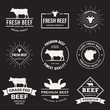 vector set of premium beef labels, badges and design elements