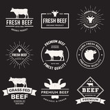 Fototapeta Dinusie - vector set of premium beef labels, badges and design elements