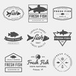 vector set of fresh fish labels, badges and design elements