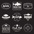 vector set of fresh fish labels, badges and design elements