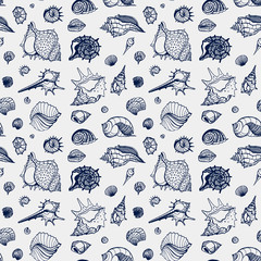 Sticker - Seamless pattern of Sea shells. 