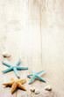 Summer setting with sea shells on old wooden background