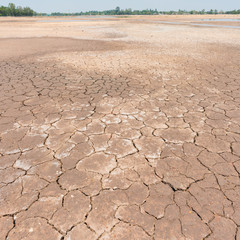 Wall Mural - Drought land and blue sky