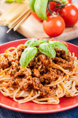 Wall Mural - Spaghetti bolognese with cheese and basil