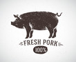 Graphic pig and labeled: 