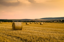 Golden Sunset Over Farm Field With Hay Bales
