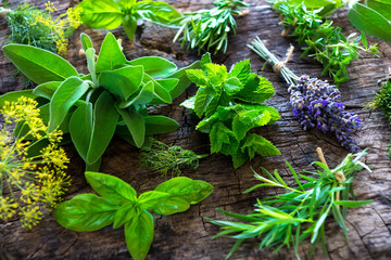 Wall Mural - Fresh herbs on wooden background