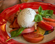 Buffalo mozzarella with fresh tomatoes on red plate at Italian restaurant.