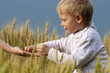 © natalinka29 - Boy in wheat field