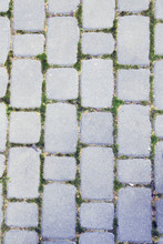 Cobblestone Pavement With Moss Growing Between Stones