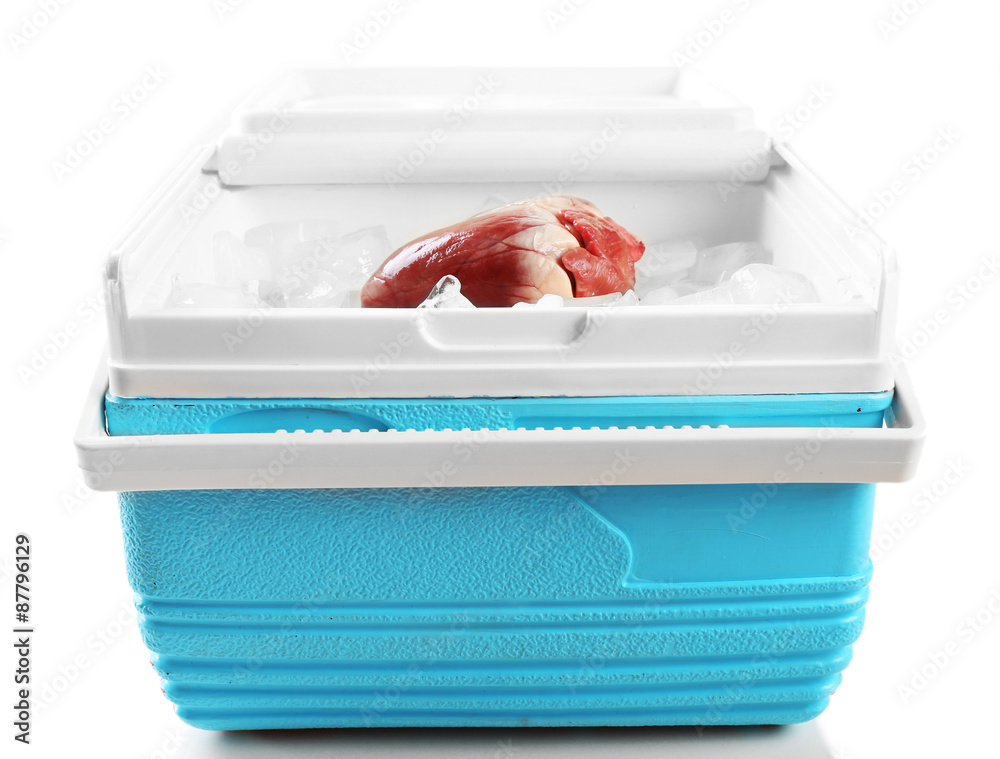 Heart organ in fridge on light background