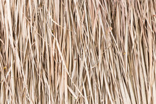 Thatch Roof Background, Hay Or Dry Grass Background.