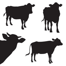 Cow Silhouette Illustration Set
